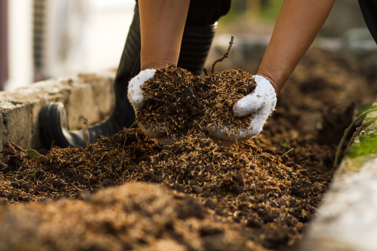 Comment éviter les mauvaises odeurs de compost en été ?