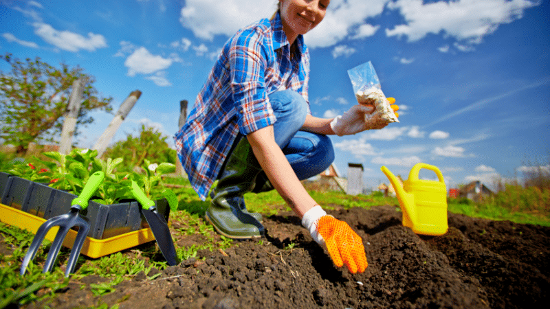 Ces légumes à planter jusqu&rsquo;au 31 mars pour un potager abondant