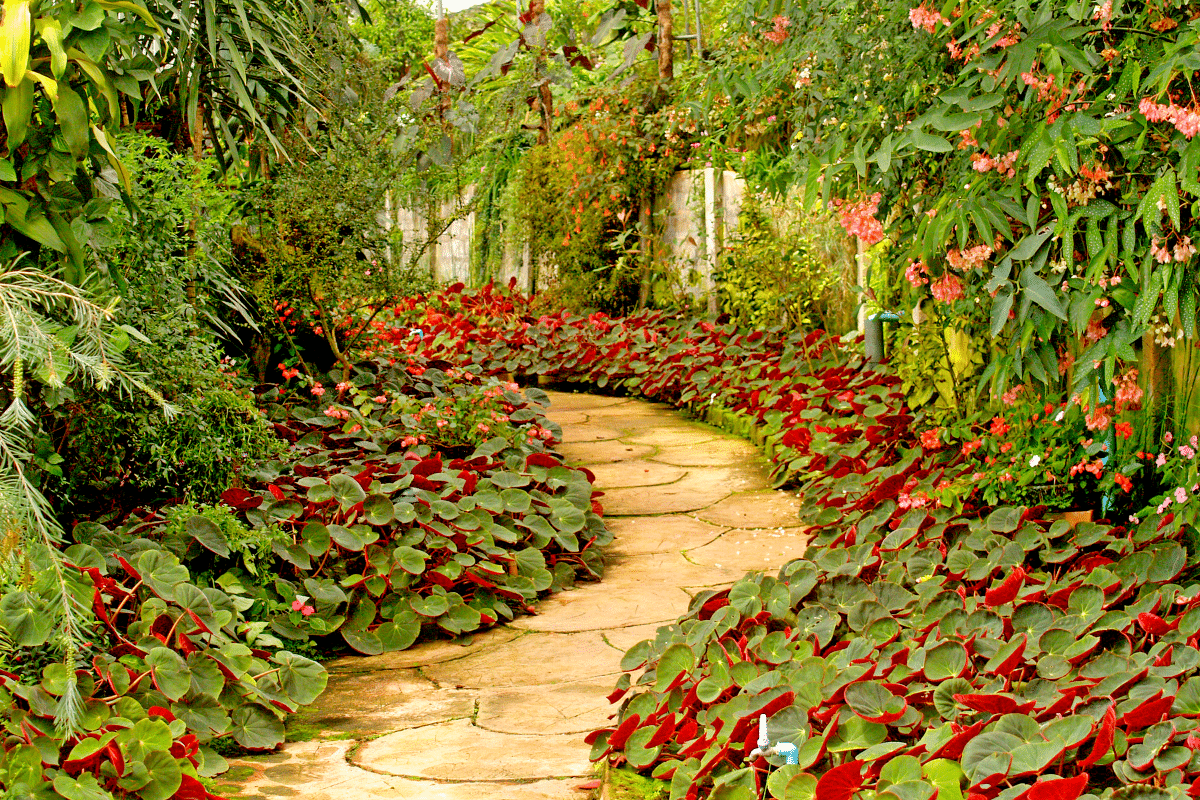 Le secret des jardins thaïlandais et balinais : ces plantes à connaître absolument