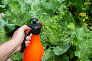 Vaporisez le mélange tôt le matin ou en fin de journée pour éviter la dégradation sous le soleil