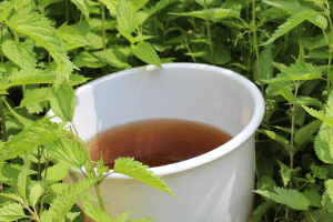 Purin d’ortie