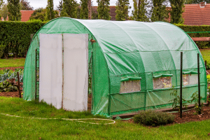 La serre de jardin : un allié climatique pour prolonger les récoltes