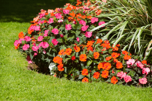 Les solutions pour préserver vos massifs