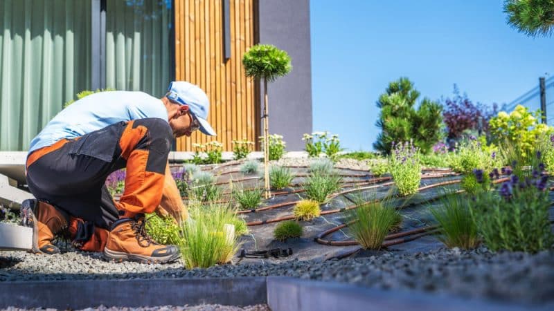 Création de jardin par un paysagiste : étapes, budget et conseils pour 2026