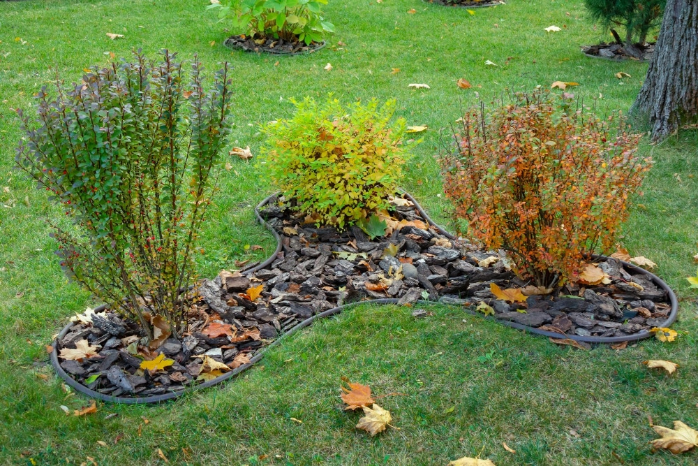 combien coûte la création d'un jardin en 2026