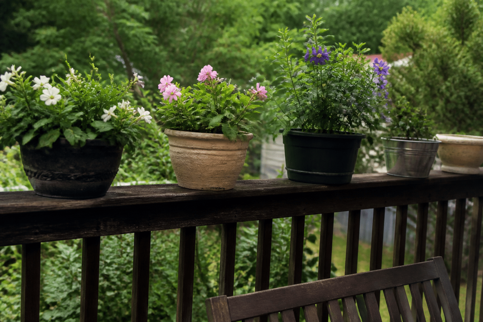 Quelles plantes choisir pour un balcon vert toute l&rsquo;année ?