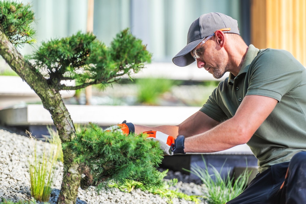 Pourquoi confier la création de votre jardin à un paysagiste expert