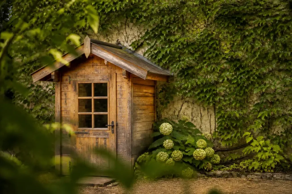 Cabane en bois contre un mur couvert de lierre