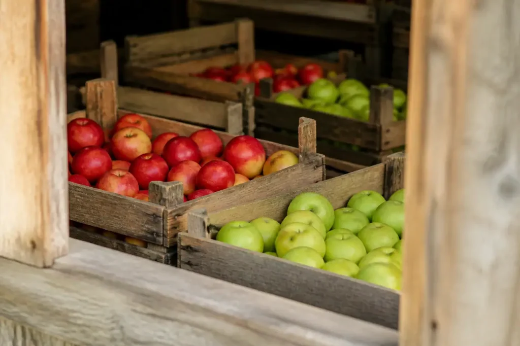 Caisses en bois remplies de pommes rouges et vertes