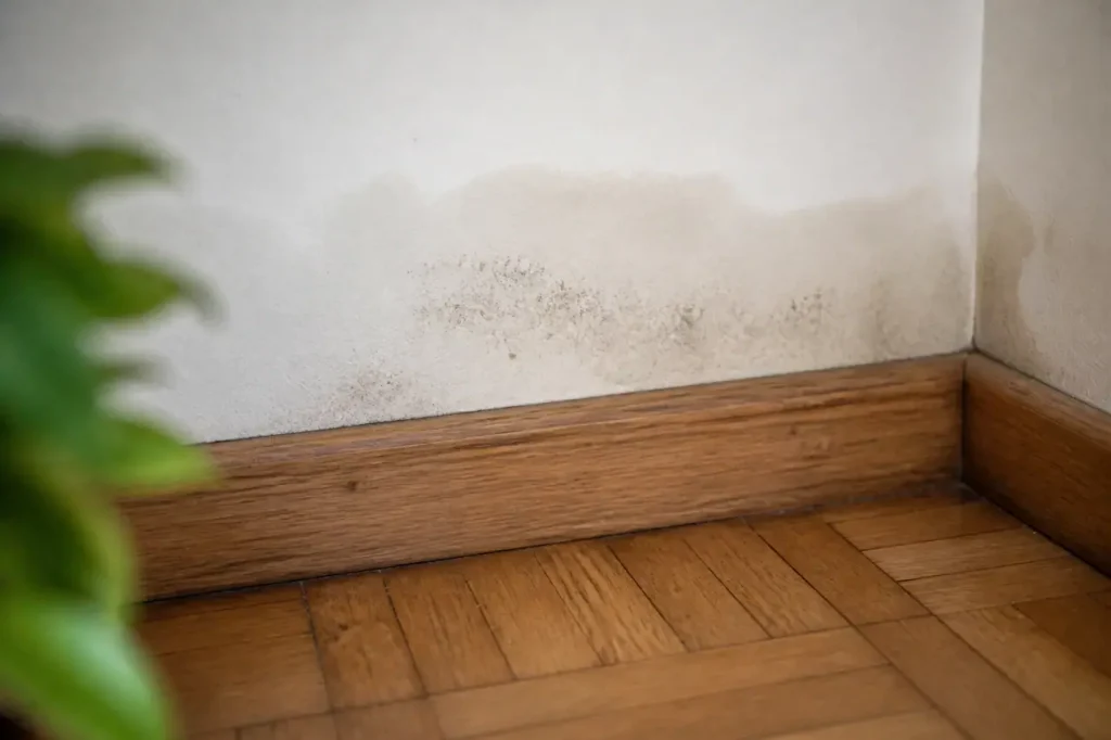 Mur blanc avec tache humide pres de la plinthe