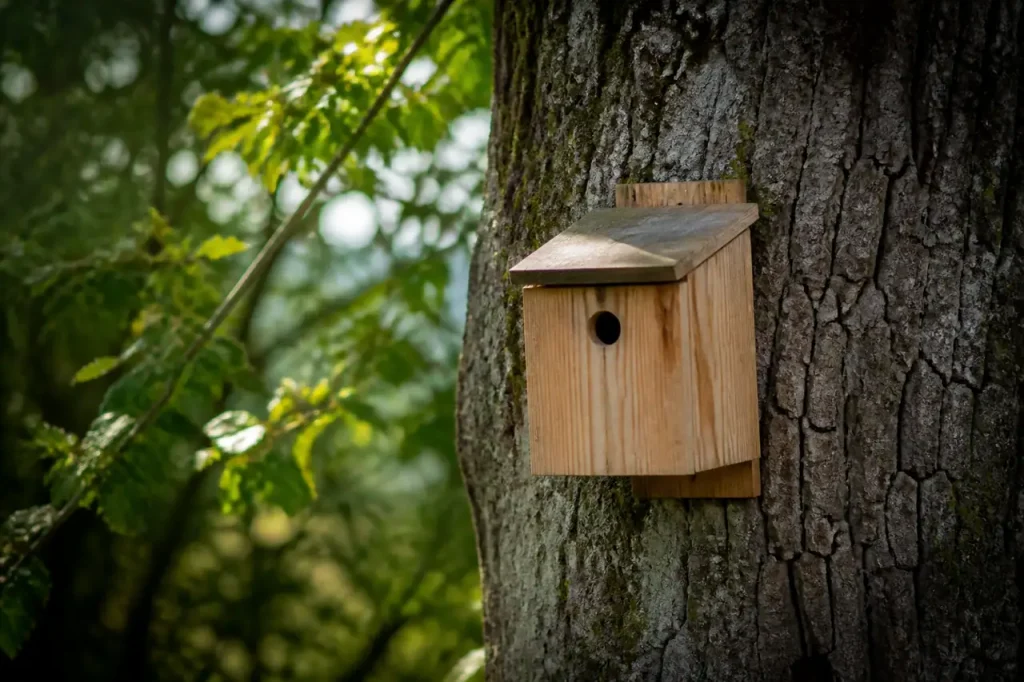 Nichoir en bois fixe sur un tronc de chene