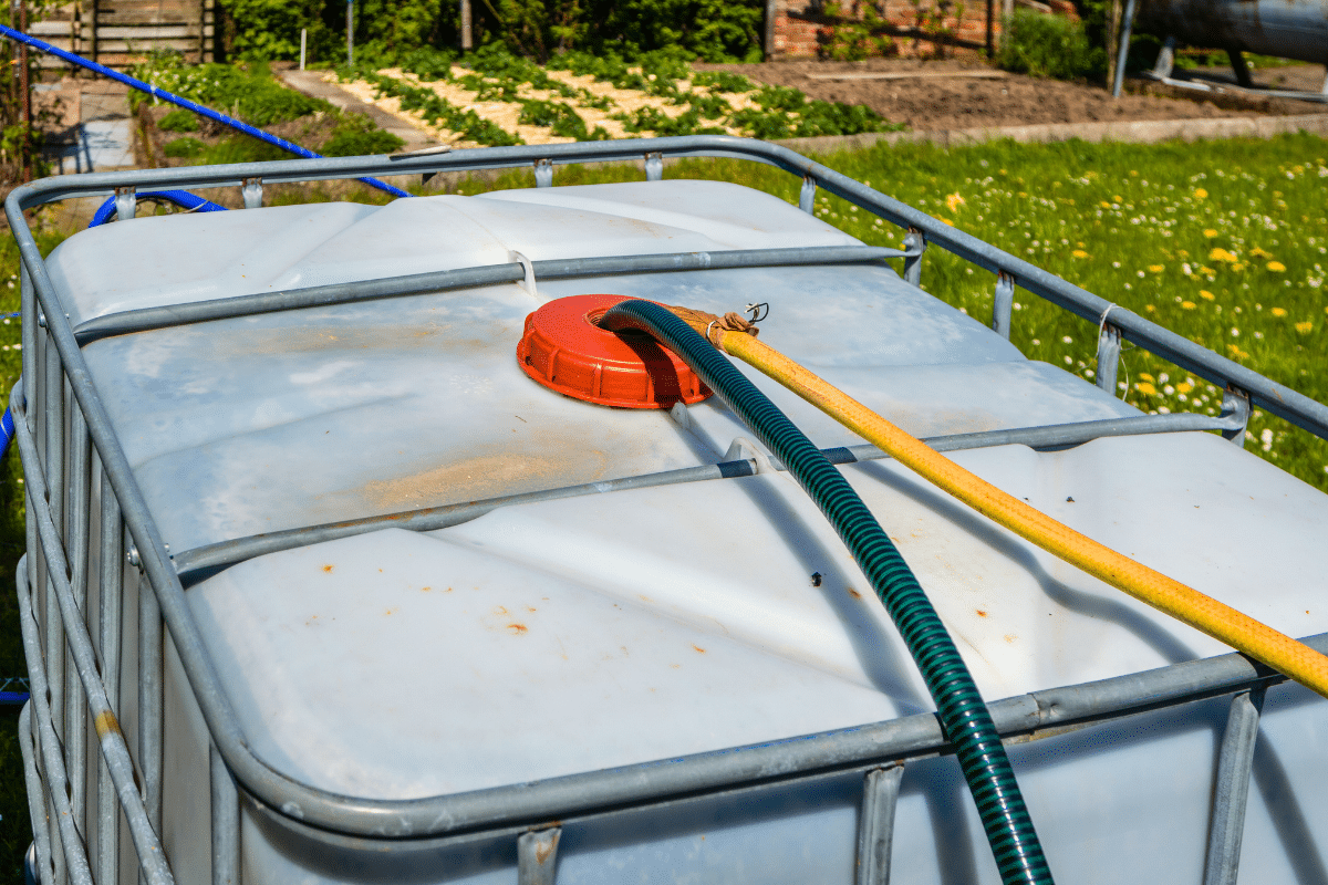 Comment éviter que les algues ne s&rsquo;accumulent dans votre récupérateur d&rsquo;eau de pluie ?