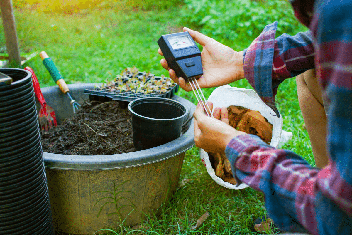 Voici les erreurs à éviter pour préparer votre jardin à affronter l&rsquo;hiver et s&rsquo;épanouir au printemps