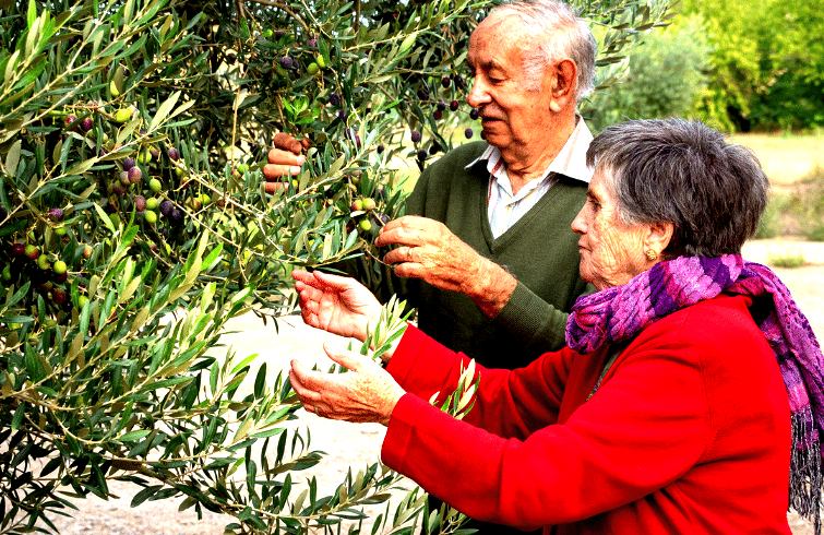 Ma grand-mère ne néglige jamais cette astuce pour protéger ses arbres fruitiers en hiver